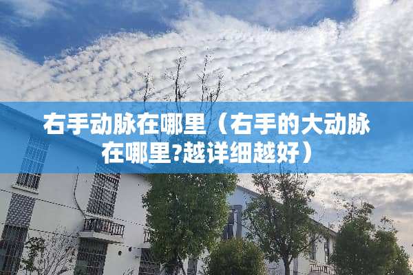 右手动脉在哪里（右手的大动脉在哪里?越详细越好）