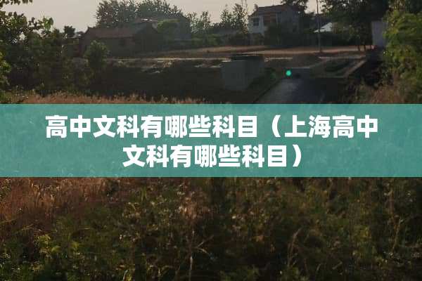 高中文科有哪些科目（上海高中文科有哪些科目）