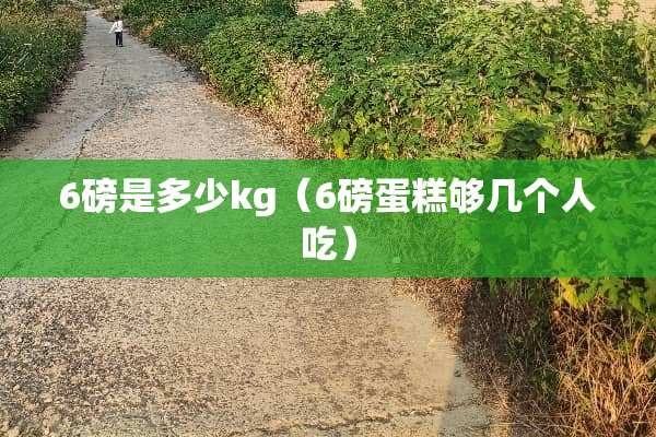 6磅是多少kg（6磅蛋糕够几个人吃）