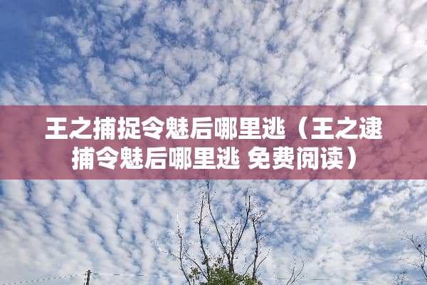 王之捕捉令魅后哪里逃（王之逮捕令魅后哪里逃 免费阅读）