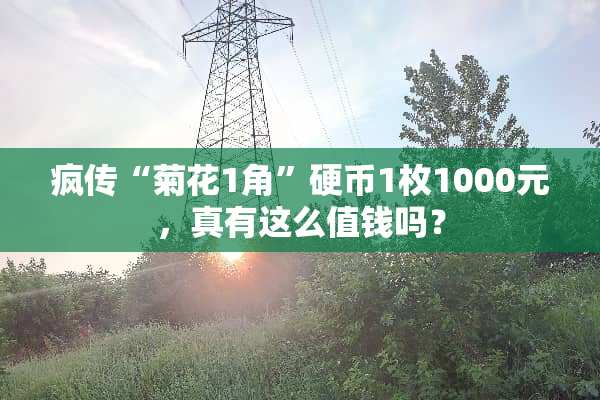 疯传“菊花1角”**1枚1000元，真有这么值钱吗？