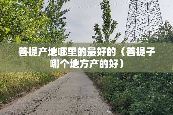 **产地哪里的最好的（**子哪个地方产的好）