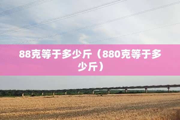 88克等于多少斤（880克等于多少斤）