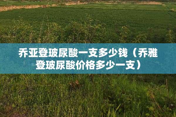 乔亚登玻尿酸一支多少钱（乔雅登玻尿酸价格多少一支）