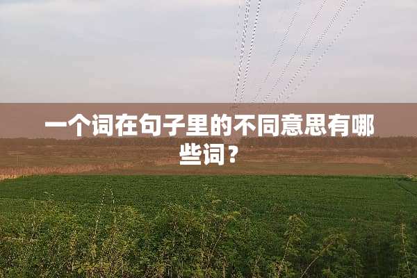一个词在句子里的不同意思有哪些词？
