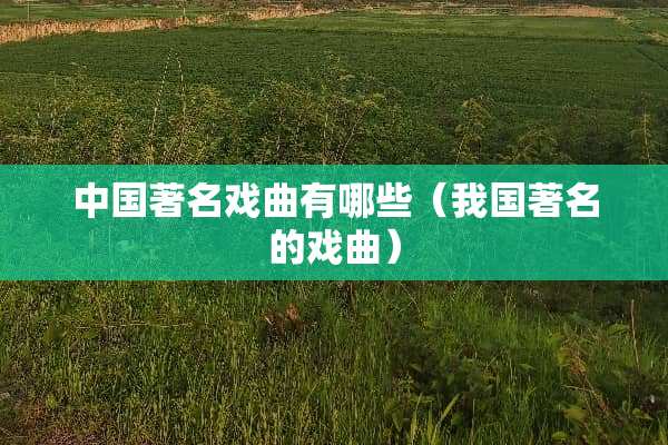中国著名戏曲有哪些（我国著名的戏曲）