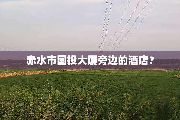 赤水市国投大厦旁边的酒店？