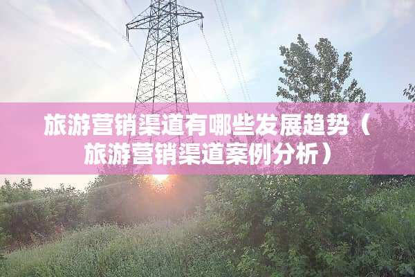 旅游营销渠道有哪些发展趋势（旅游营销渠道案例分析）