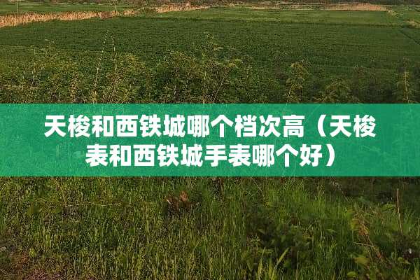 天梭和西铁城哪个档次高（天梭表和西铁城手表哪个好）