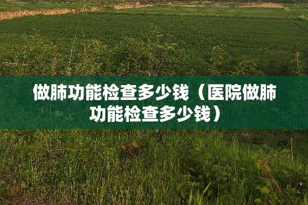 做肺功能检查多少钱（医院做肺功能检查多少钱）