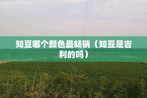 知豆哪个颜色最畅销（知豆是吉利的吗）