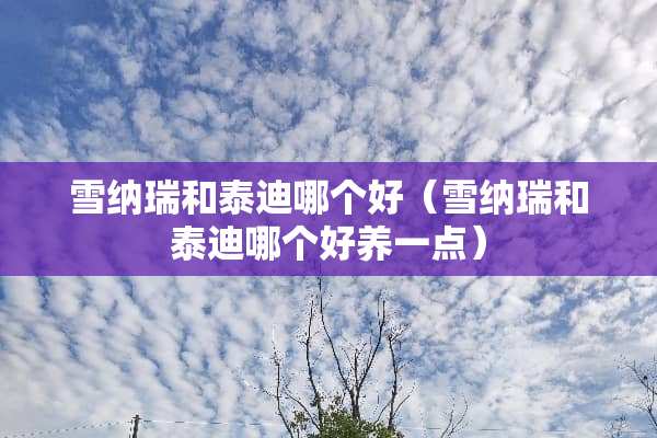 雪纳瑞和泰迪哪个好（雪纳瑞和泰迪哪个好养一点）