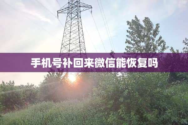 手机号补回来微信能恢复吗