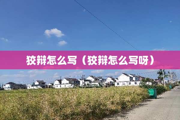 狡辩怎么写（狡辩怎么写呀）
