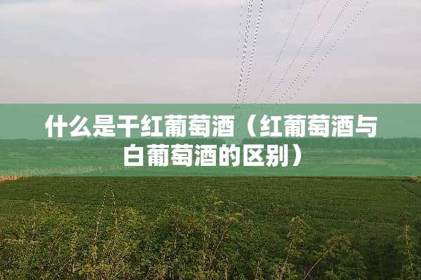 什么是干红葡萄酒（红葡萄酒与白葡萄酒的区别）