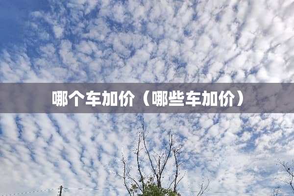 哪个车加价（哪些车加价）