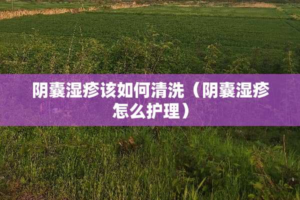 *囊湿疹该如何清洗（*囊湿疹怎么护理）