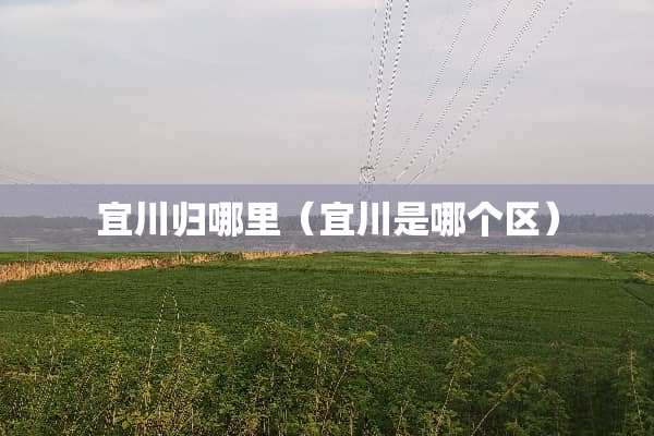 宜川归哪里（宜川是哪个区）