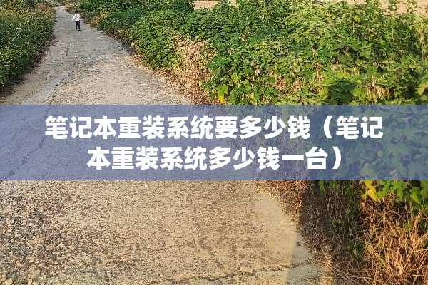 笔记本重装系统要多少钱（笔记本重装系统多少钱一台）