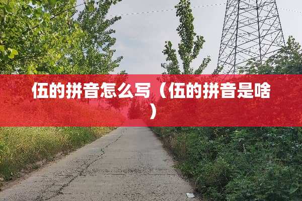 伍的拼音怎么写（伍的拼音是啥）