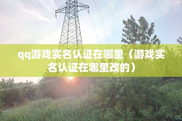 qq游戏实名认证在哪里（游戏实名认证在哪里改的）