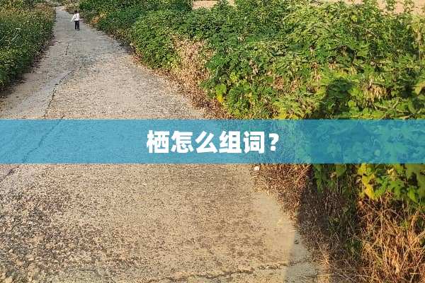 栖怎么组词？