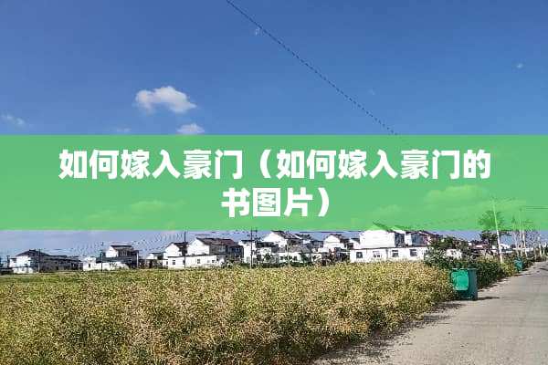 如何嫁入豪门（如何嫁入豪门的书图片）