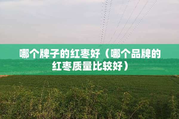 哪个牌子的红枣好（哪个品牌的红枣质量比较好）