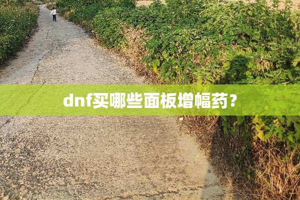 dnf买哪些面板增幅药？
