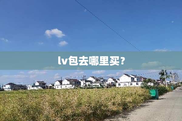 lv包去哪里买？