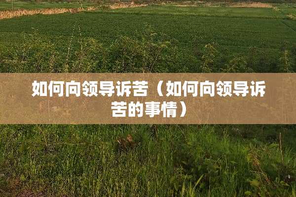 如何向领导诉苦（如何向领导诉苦的事情）