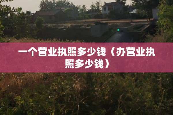 一个营业执照多少钱（办营业执照多少钱）