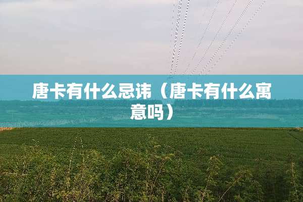 唐卡有什么忌讳（唐卡有什么寓意吗）