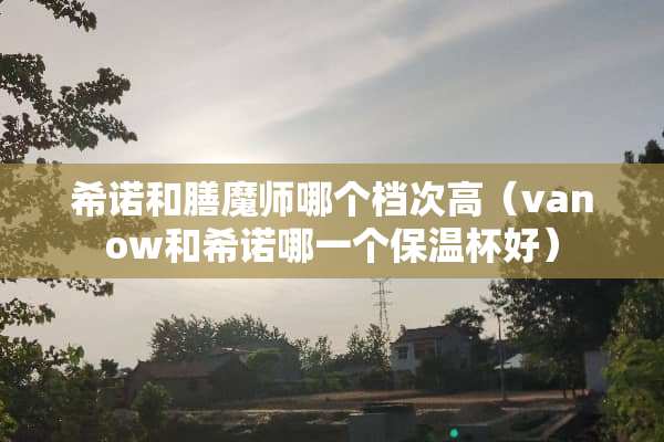 希诺和膳魔师哪个档次高（vanow和希诺哪一个保温杯好）