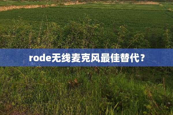 rode无线麦克风最佳替代？