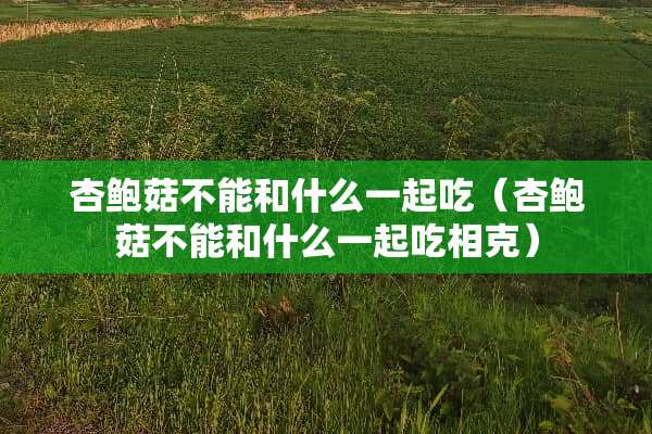 杏鲍菇不能和什么一起吃（杏鲍菇不能和什么一起吃相克）