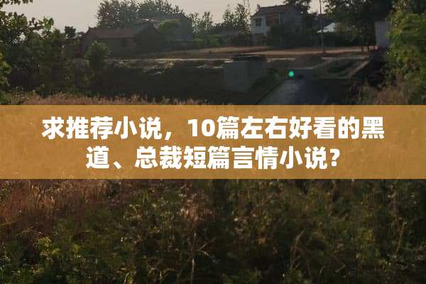 求推荐小说，10篇左右好看的黑道、总裁短篇言情小说？