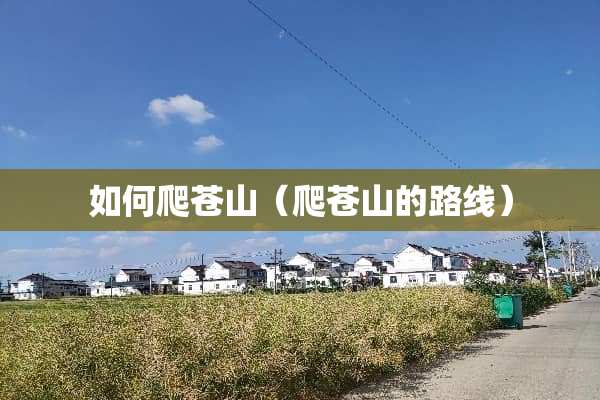 如何爬苍山（爬苍山的路线）