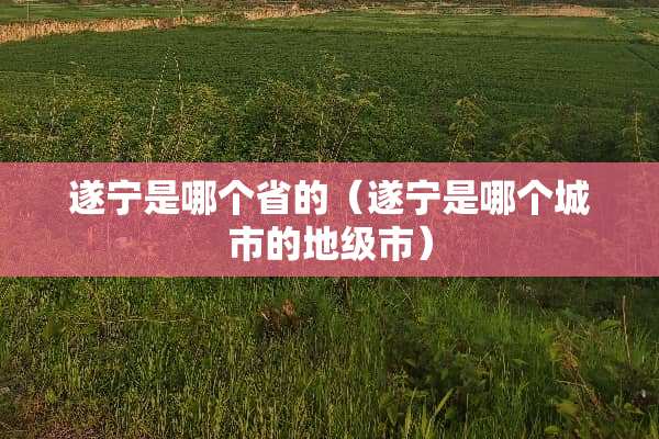 遂宁是哪个省的（遂宁是哪个城市的地级市）