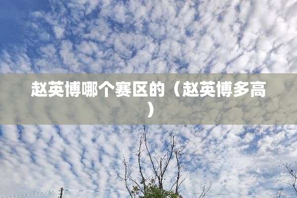 赵英博哪个赛区的（赵英博多高）