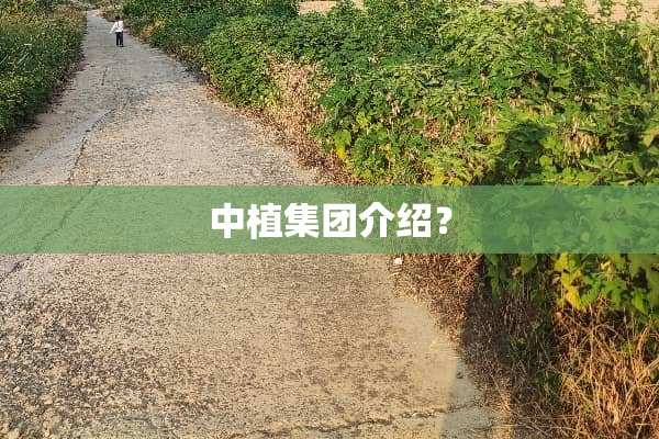 中植集团介绍？