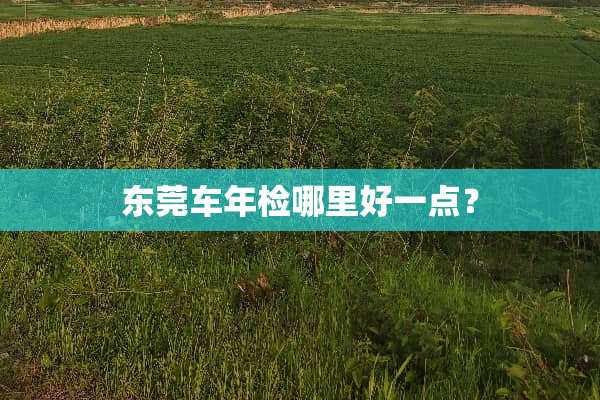 东莞车年检哪里好一点？