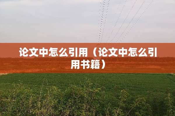 论文中怎么引用（论文中怎么引用书籍）