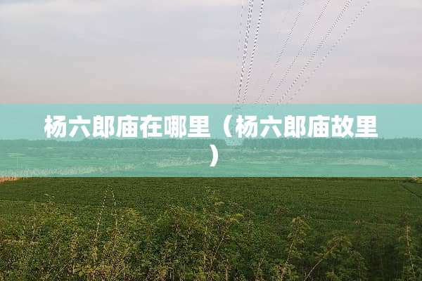 杨六郎庙在哪里（杨六郎庙故里）