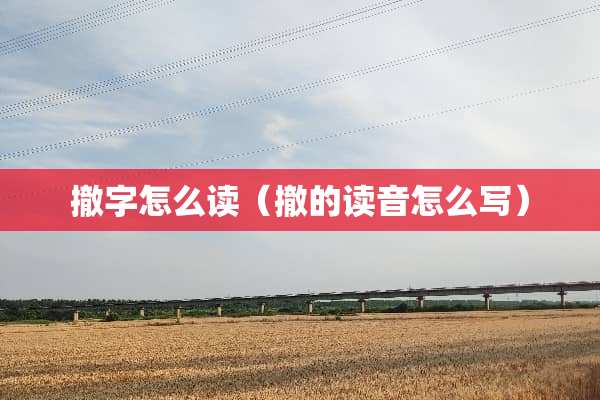 撤字怎么读（撤的读音怎么写）