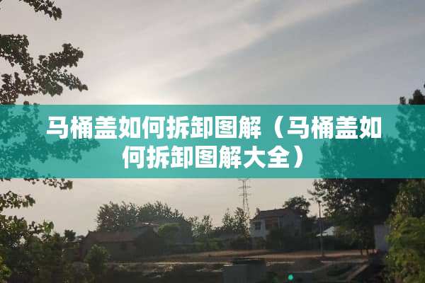 马桶盖如何拆卸图解（马桶盖如何拆卸图解大全）