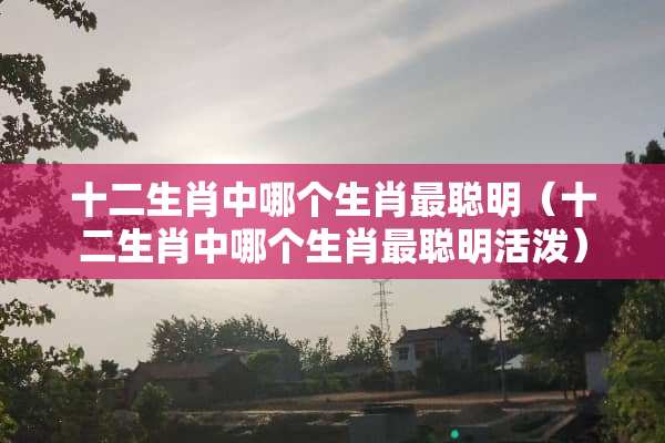十二生肖中哪个生肖最聪明（十二生肖中哪个生肖最聪明活泼）