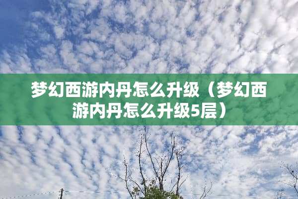梦幻西游内丹怎么升级（梦幻西游内丹怎么升级5层）