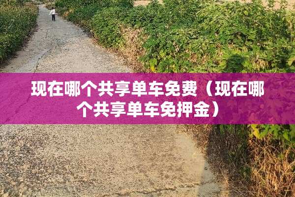 现在哪个共享单车免费（现在哪个共享单车免押金）