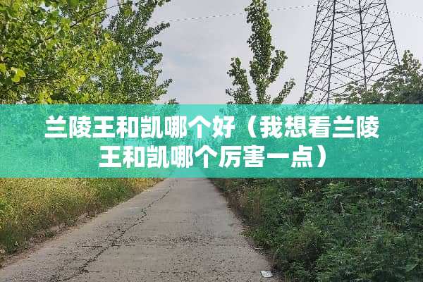 兰陵王和凯哪个好（我想看兰陵王和凯哪个厉害一点）